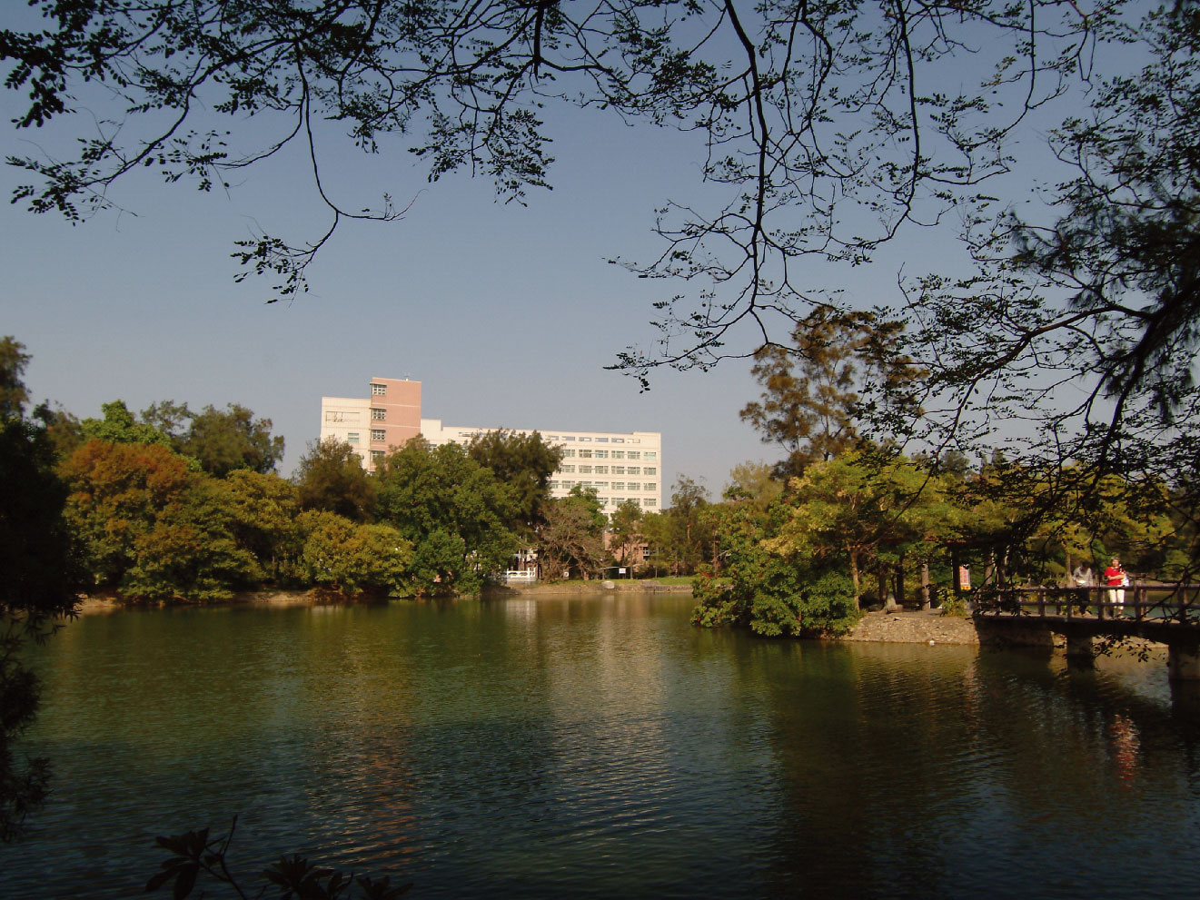 blog-image